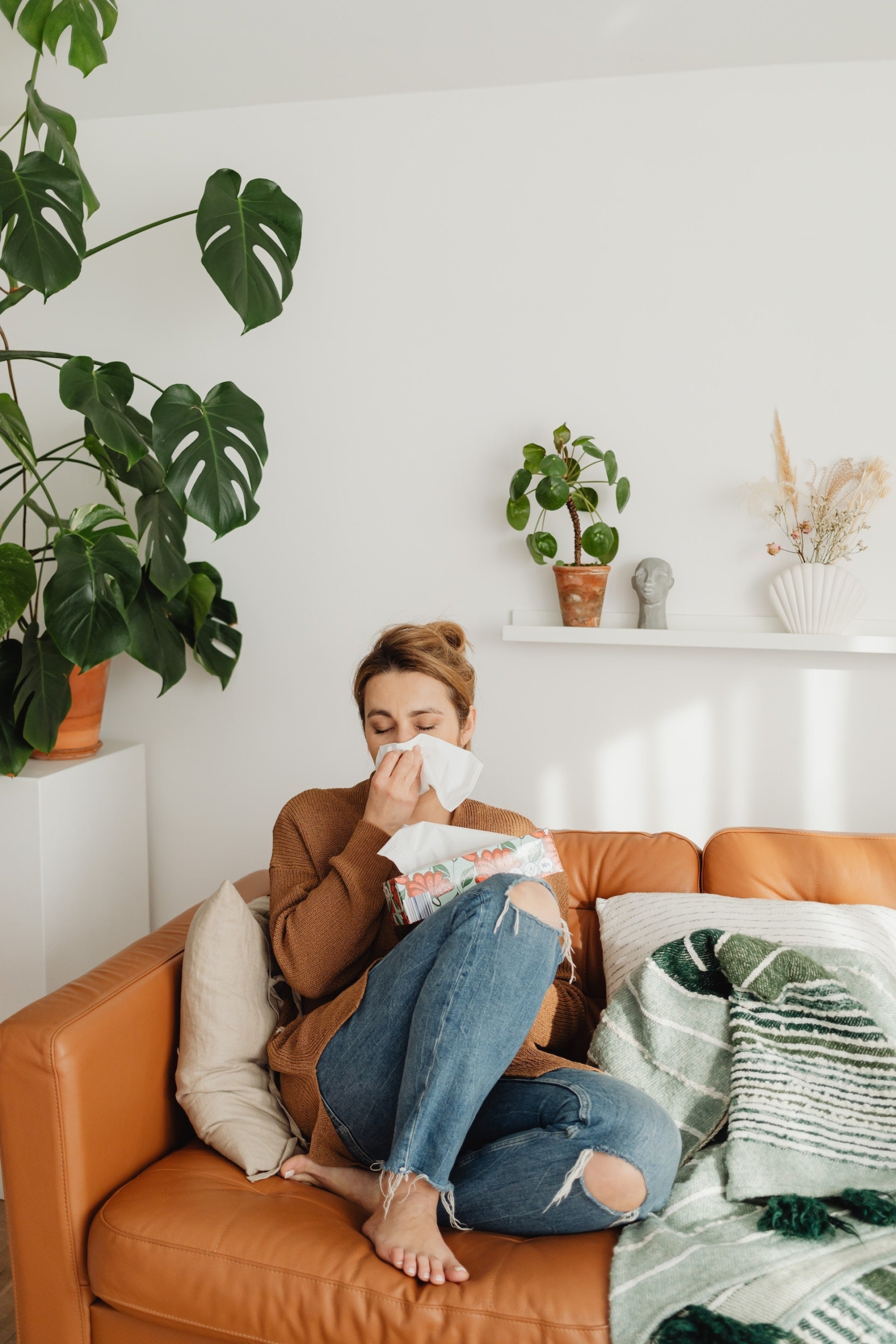 chattanooga allergy cleaning